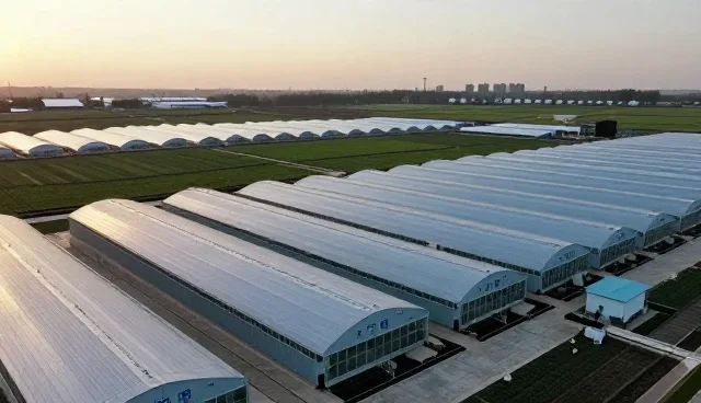 农业技术指导如何提升种植效率与作物品质